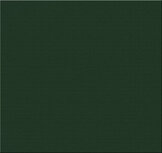 Teak &amp; Garden Ligbed kussen Groen 200 x 63 cm (lounger)