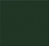 Teak &amp; Garden Recliner kussen Groen 123 x 50 cm (hoge rug)