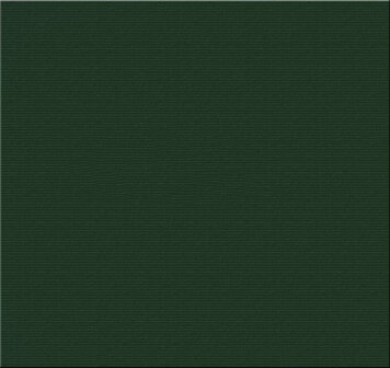 Teak &amp; Garden stapelstoelkussen Groen 50 x 100 cm