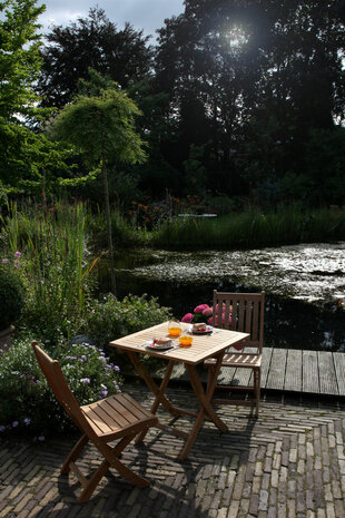 Traditional Teak VICTORIA folding chair